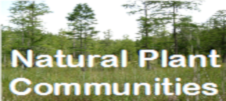 Natural Plant Communities Banner