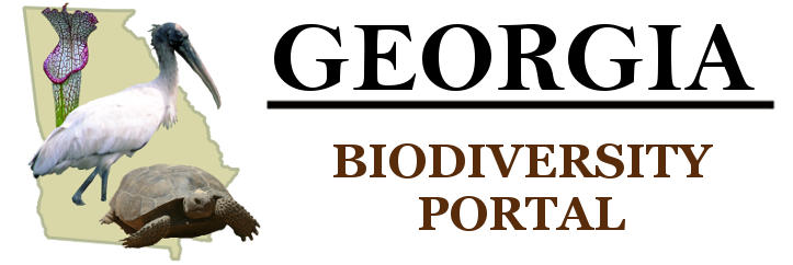 Georgia Rare Natural Element Logo
