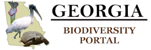 Georgia Rare Natural Element Logo