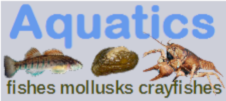 Rare aquatics